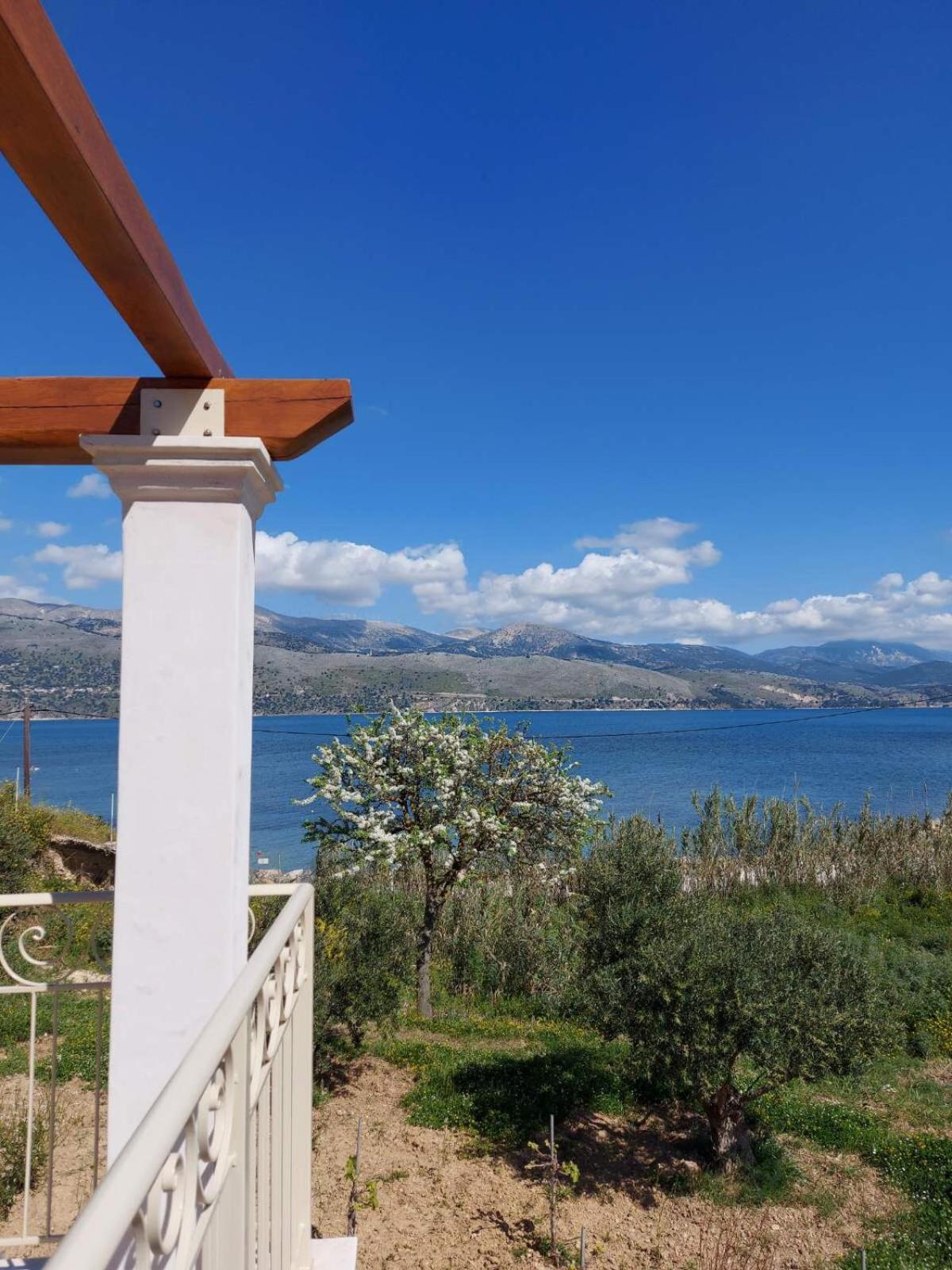 Apollonides Seafront Villa 2 Melete Lixouri Exterior photo